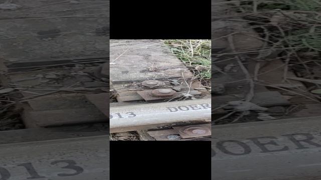 1000025514.mp4 смотреть онлайн