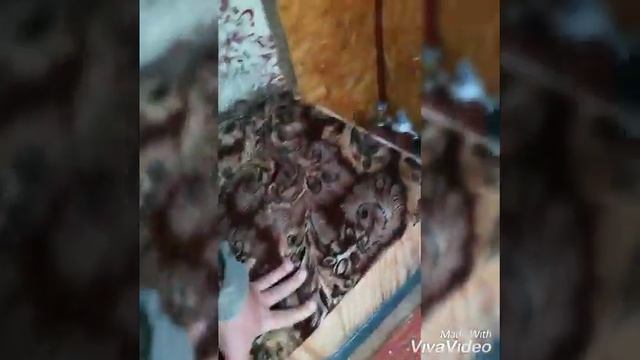 Купил домик для рыбалки смотреть онлайн