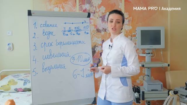 Мастерские Советы