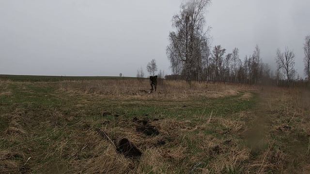 ПОИСК МЕТАЛЛА ПО СИЛОСНЫМ ЯМАМ И ПОЛЯМ!!! смотреть онлайн