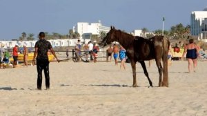 ТУНИС 08.2016 КЛУБ ОТЕЛЬ ТРОПИКАНА, МИНИ ДИСКО, РАЗВЛЕЧЕНИЯ, ОХРАНА