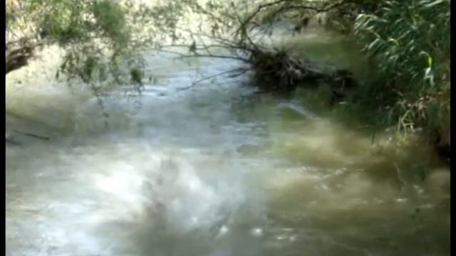 Парень залетел в речку смотреть онлайн