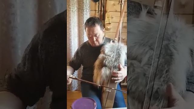 Музыкальный лук Руслана Габышева смотреть онлайн