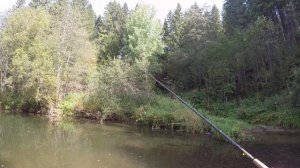 Тест олд скульного шнура для тенкары из конского волоса