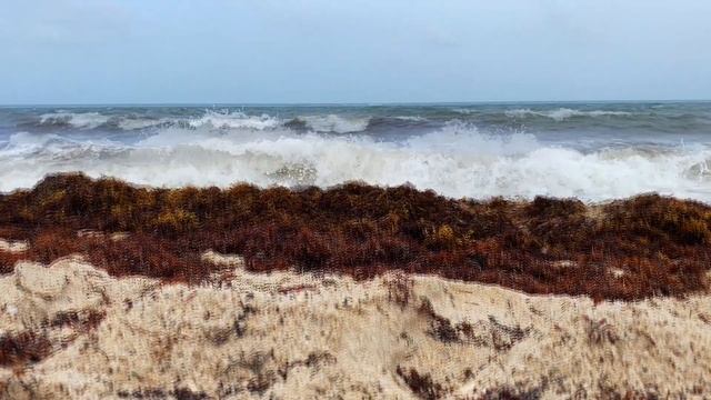 Сильный ветер и высокие волны: Ветреный день у океана смотреть онлайн