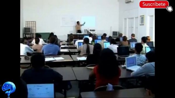 Bonaire 🇧🇶 TODO lo que necesitas saber 🏖️🏝️