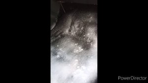 Чистка ковролина в моём Рено Логан.