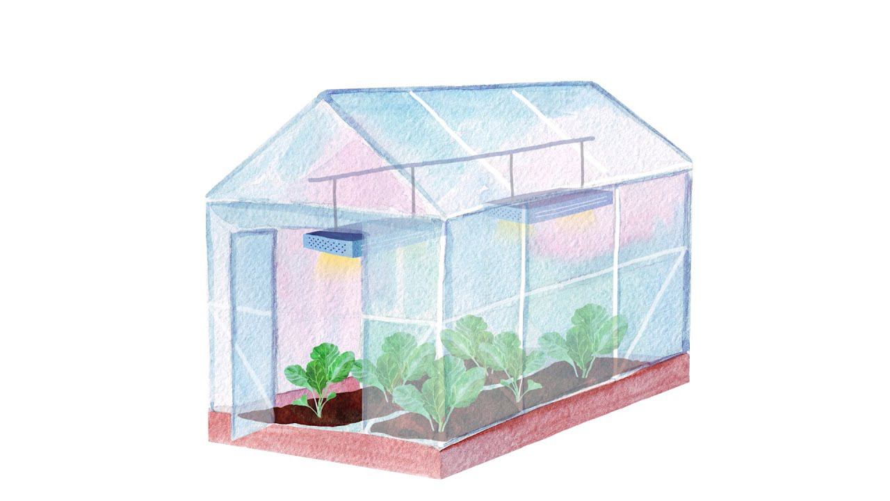 28.2. Овощи. Капуста смотреть онлайн