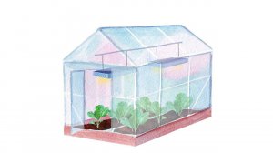 28.2. Овощи. Капуста