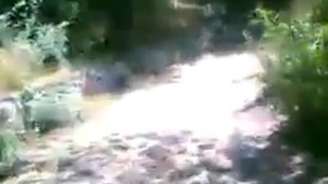 videoplayback191.mp4 смотреть онлайн