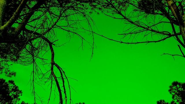 Electric Dreams III - Pamova (2015)