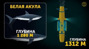 Как выглядит путешествие внутрь Марианской впадины?