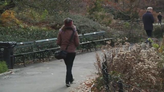 How to use a camera tutorial (Short Film) смотреть онлайн