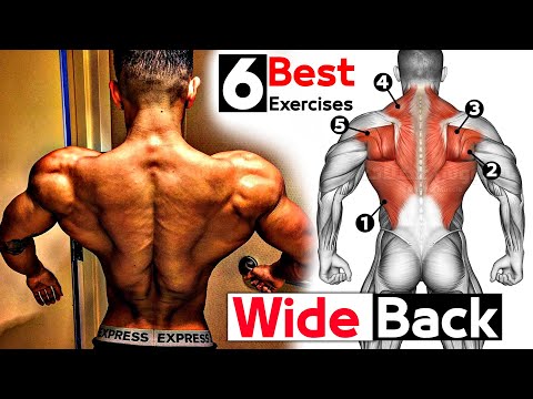 Как улучшить тренировку спины (6 эффективных упражнений) смотреть онлайн