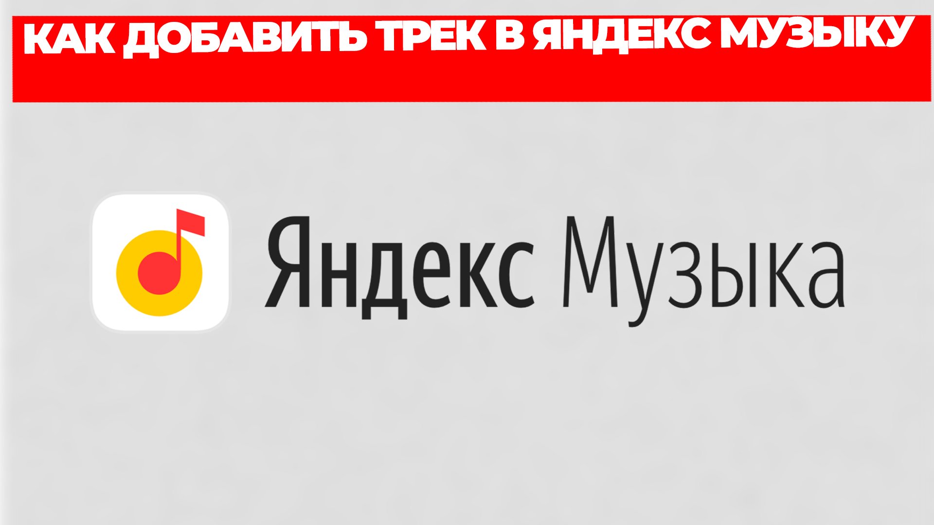 Всезнающий Енот