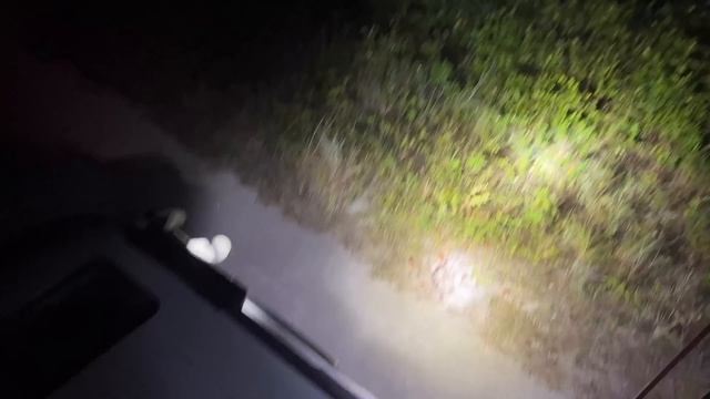 PYTHON VS CROCODILE!!!!! (with @ChandlersWildLife ) - duffdoesnaturestuff смотреть онлайн