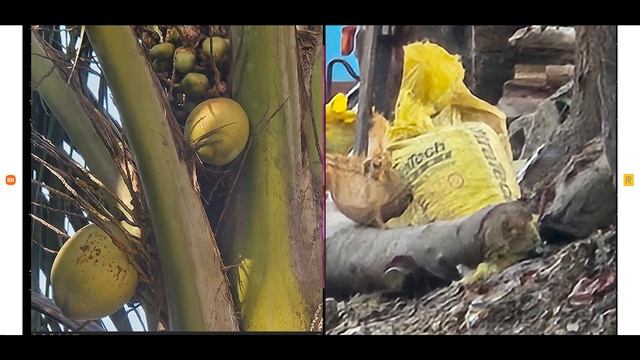 Realme 12 Pro Plus vs Redmi Note 13 Pro Plus Camera Test - Jalwa ?? смотреть онлайн