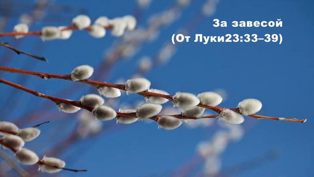 03.04.2015 Голос истины (От Луки 23:33–46) смотреть онлайн