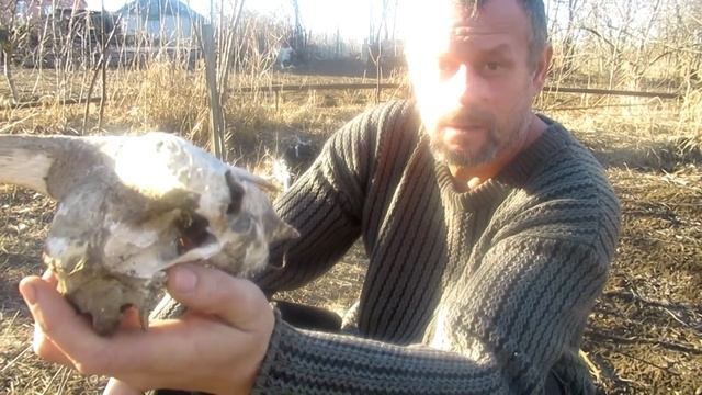 Гамлет. Отрывок. смотреть онлайн