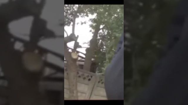 Задержан старший следователь по особо важным делам Генпрокуратуры за взятку. смотреть онлайн