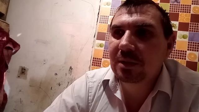 10 причин плохой яйценоскости перепелов. смотреть онлайн