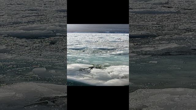 20231221_134503.mp4 смотреть онлайн