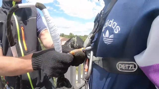 Прыжок №2 кайдакский мост 25 июля 2021 смотреть онлайн