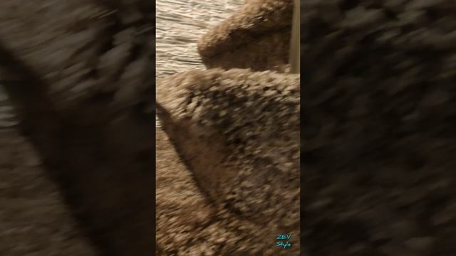 Лестница и ковролин.mp4 смотреть онлайн