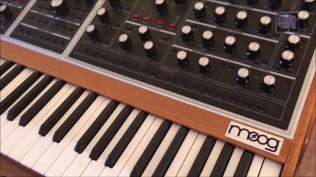 Moog One Demo (no talking) смотреть онлайн