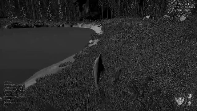 The Isle. Куда попадают аллики после смерти? Ночной кошмар рексов.