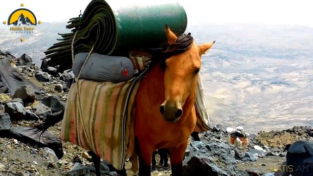 Climbing Mount Ararat / Վերելք Արարատ լեռ - Hatis Tour