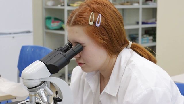 Летние школы 2023 смотреть онлайн