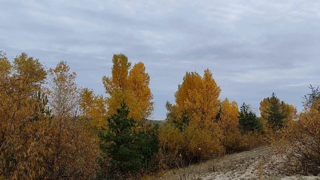 19 ноября народный праздник День Павла Исповедника. День Клавдии. Народные приметы и традиции. смотреть онлайн