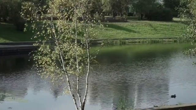 Использование водных объектов в ландшафтном дизайне смотреть онлайн