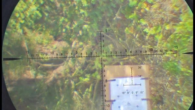 ЕГЕРЬ карабин 6.35 настроен для клиента под пилюли весом 0.40г , отобран кучный боеприпас!💪 смотреть онлайн