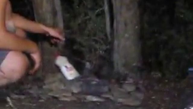 Криница 2014 Кемпинг криница автокемпинг Тайга, Еноты, смотреть онлайн