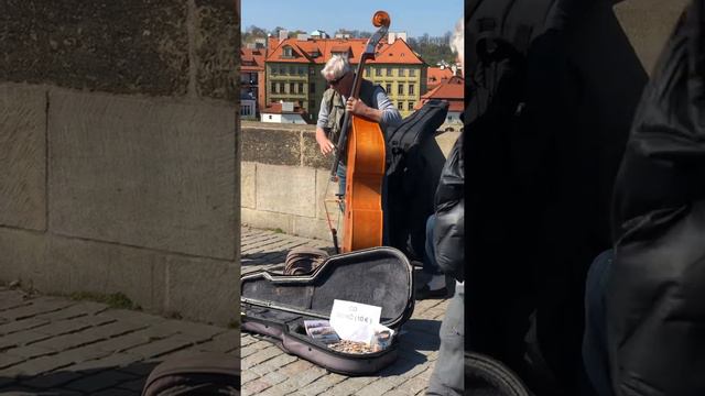 Czech Musicians play the Washboard just too HOODOO смотреть онлайн