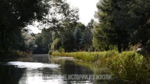 В ЕЁ ТРУСАХ МЕНЯ ЖДАЛ СЮРПРИЗ. Измена жены. Жизненные истории и аудио рассказы