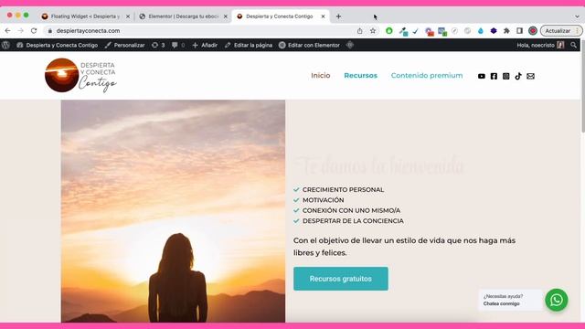 Cómo poner el botón de WhatsApp en Wordpress GRATIS смотреть онлайн
