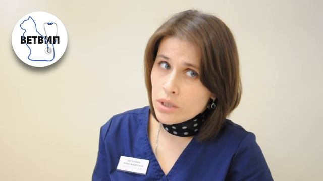 Плюсы и минусы кастрации смотреть онлайн