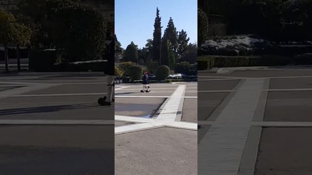 АФИНЫ ПЛОЩАДЬ КОНСТИТУЦИИ смотреть онлайн