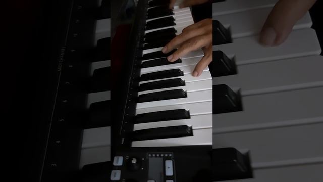Santoor Todian scale on Roland A49 🎉 смотреть онлайн