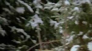 Три орешка для Золушки (1973) - второй вариант перевода