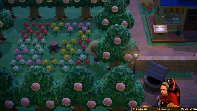 Le Macropinna - Animal Crossing New Horizons смотреть онлайн
