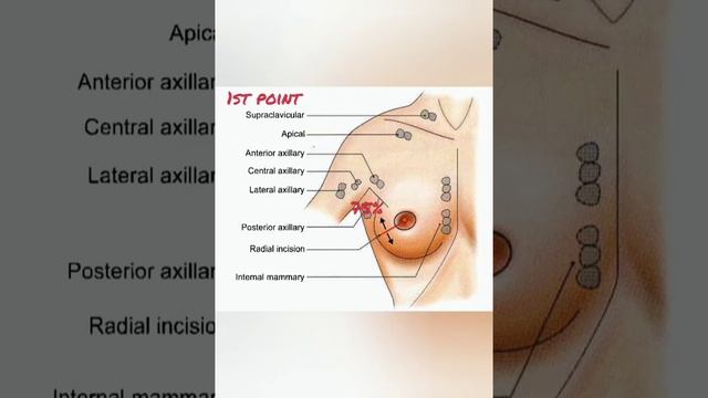 Lymph nodes & Lymphatics of Breast (Tamil) #anatomy #upper_limb #Head_&_neck #Thorax смотреть онлайн