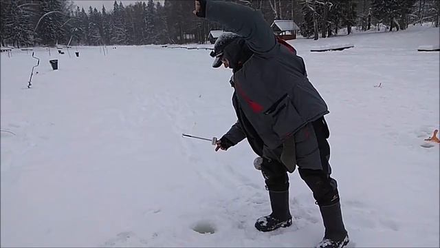 Поимки форели на верхнем водоёме. Клёвое место, Лосиный остров. смотреть онлайн