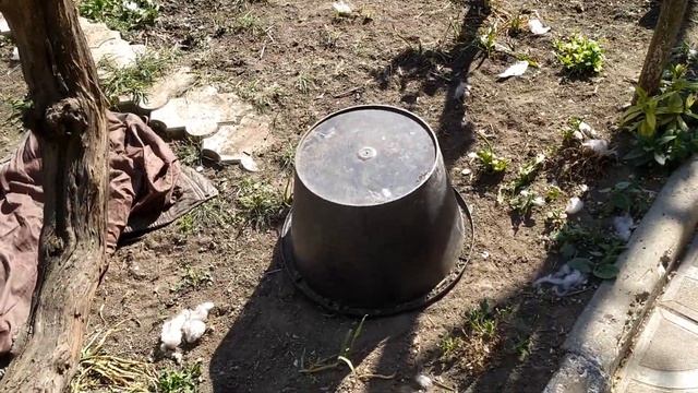 Дети встречают нас с работы./ Вы такой суп готовите?/