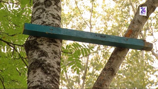 В Сургуте дети построили своими руками домик на дереве смотреть онлайн