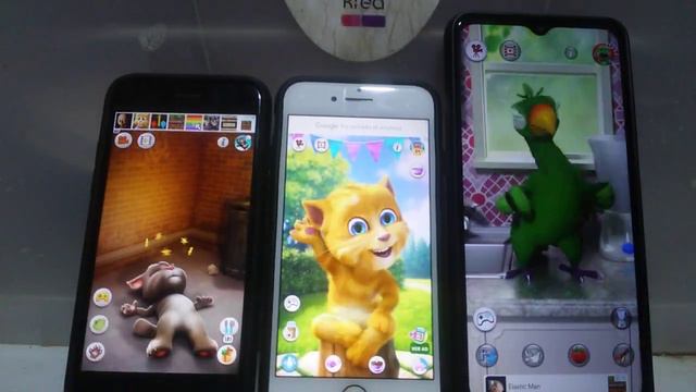 Talking Tom Echo VS Talking Ginger 2 Echo VS Talking Pierre Echo 912 смотреть онлайн