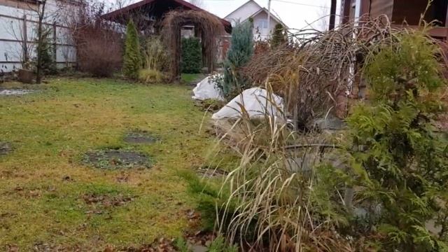 Сад в декабре: ДЕКОРАТИВНОСТЬ растений в МЕЖСЕЗОНЬЕ . смотреть онлайн